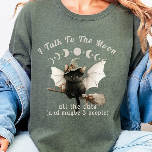 Black cat in witch hat on broom, "I Talk To The Moon all the cats (and maybe 3 people)".