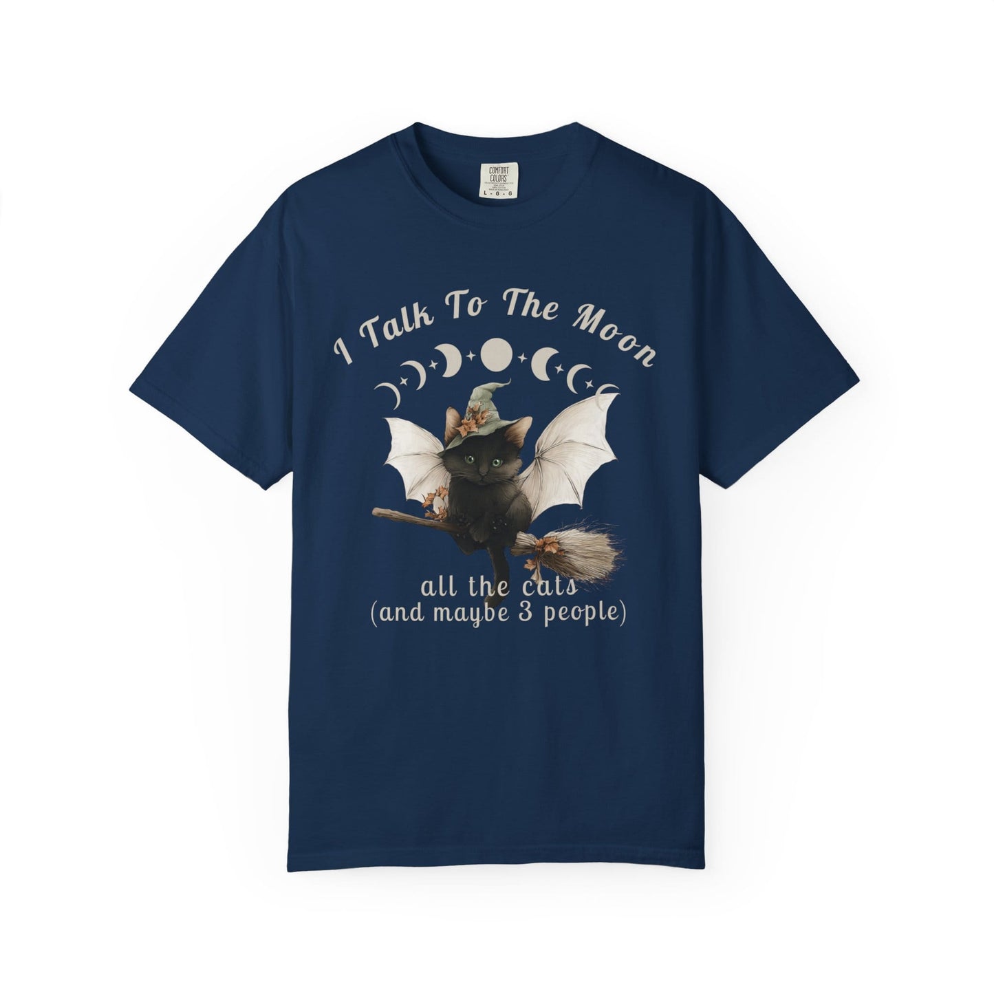 Black cat in witch hat flying on broomstick with text "I Talk To The Moon all the cats".