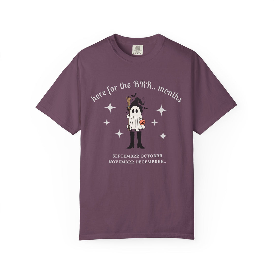 Here For The 'BER Months Shirt