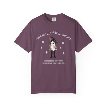 Here For The 'BER Months Shirt