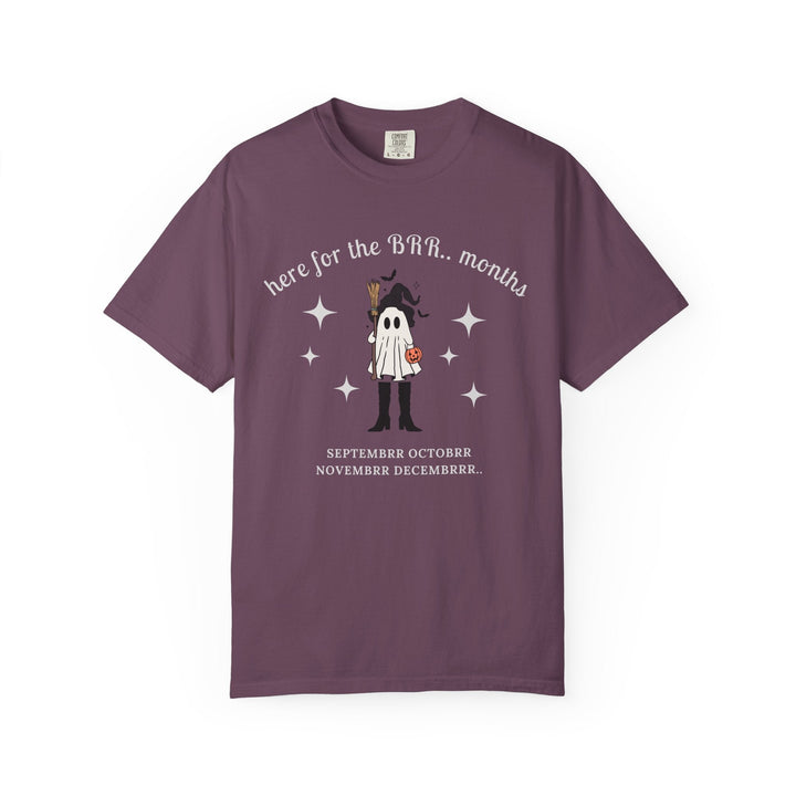 Here For The 'BER Months Shirt