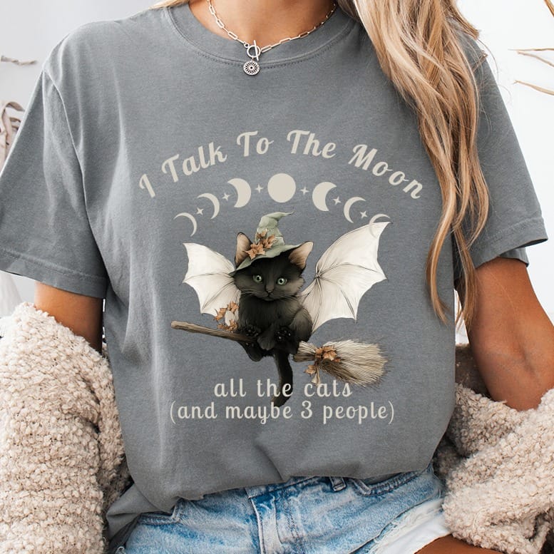 Black cat in witch hat on broom with moon and stars, text "I Talk To The Moon all the cats (and maybe 3 people)".