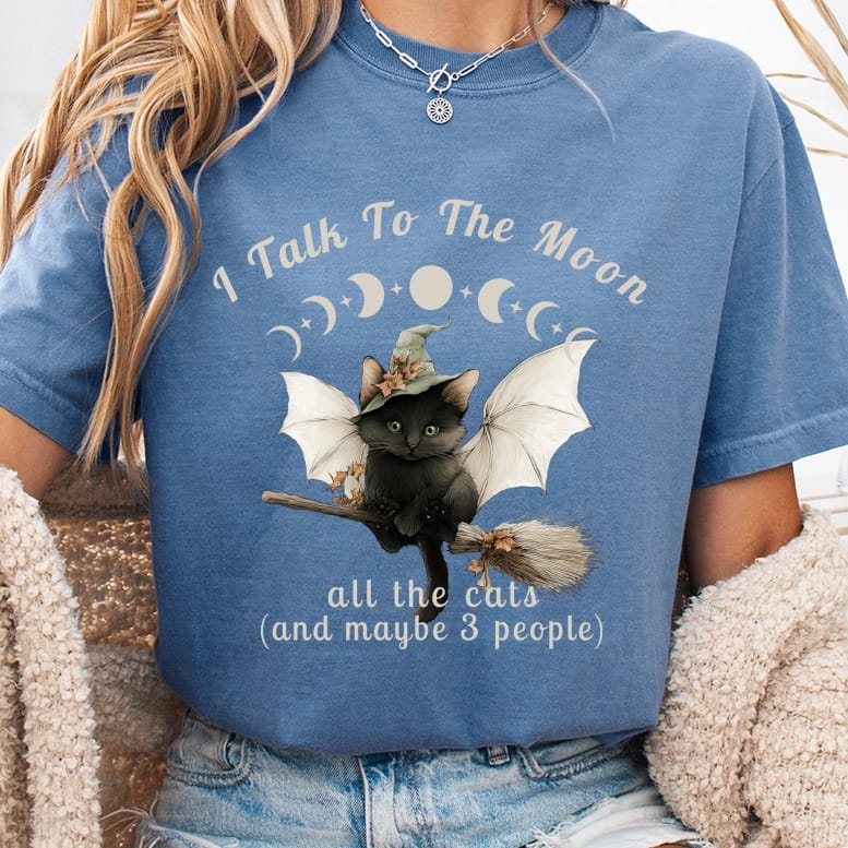 Black cat in witch hat and wings on broom with text "I Talk To The Moon all the cats (and maybe 3 people)".